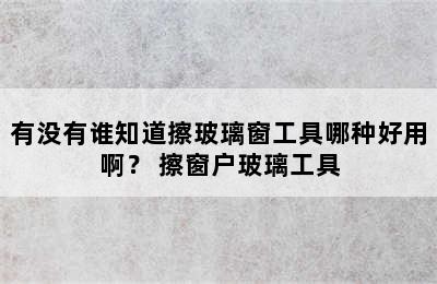 有没有谁知道擦玻璃窗工具哪种好用啊？ 擦窗户玻璃工具